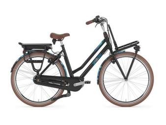 Gazelle Miss Grace black